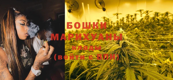 PSILOCYBIN Балахна