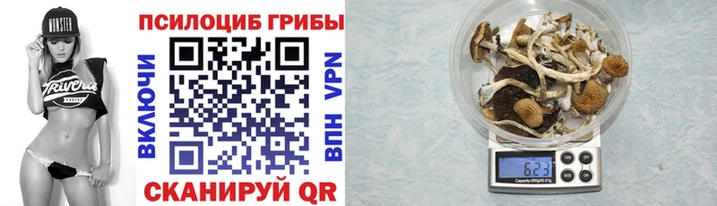 Псилоцибиновые грибы мицелий  магазин продажи   Заводоуковск 